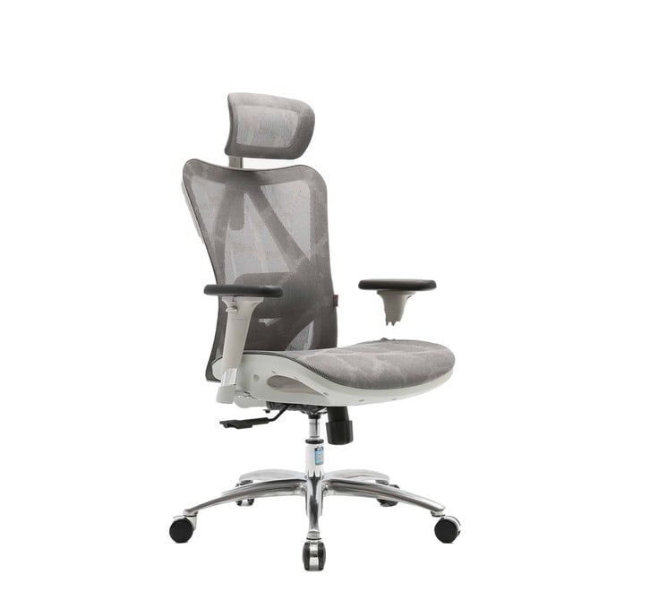 Sitta Grey Mesh Ergonomic Office Chair