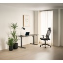 Elevate Black Electric Standing Desk