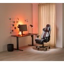 Elevate Black Electric Standing Desk