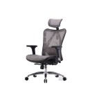 Lumea Grey Ergonomic Office Chair