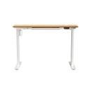Tiara White & Oak Standing Desk